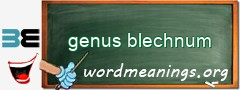 WordMeaning blackboard for genus blechnum